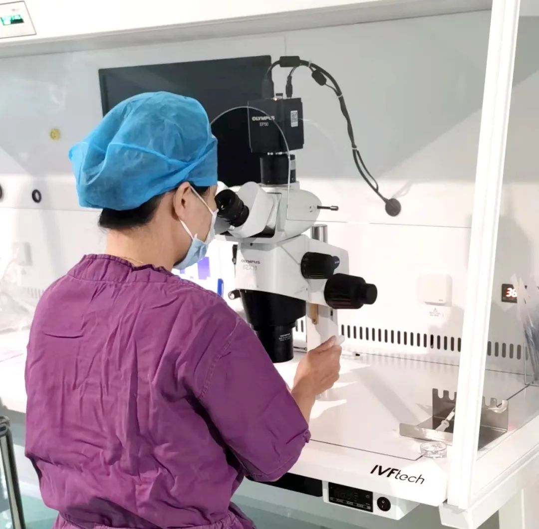 【喜訊】保山首例無精子癥通過試管嬰兒技術(shù)助孕成功！
